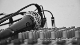 Udemy The Official DIY Guide to Voice Acting