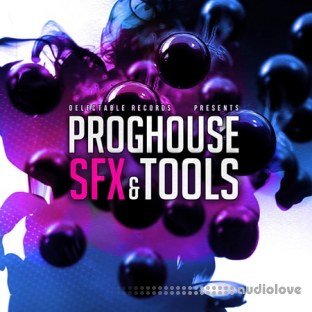 Delectable Records Prog House SFX Tools