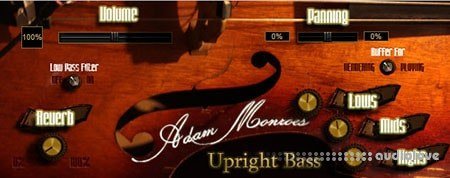 Adam Monroe Music Upright bass