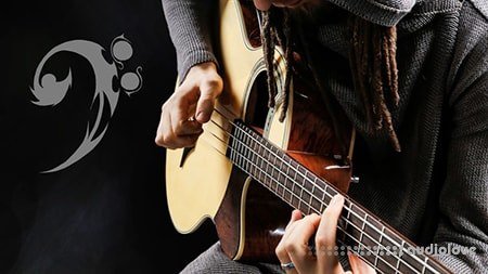 Udemy Percussive Fingerstyle on Acoustic Bass