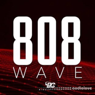 Big Citi Loops 808 Wave