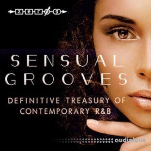 Zero-G Sensual Grooves