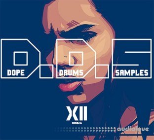 Dinma Beats Dope Drums Samples XII