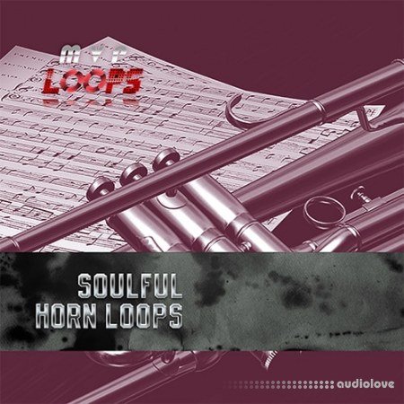 MVP Loops Soulful Horn Licks Vol.1
