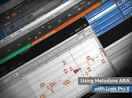 Groove3 Using Melodyne ARA with Logic Pro X Explained