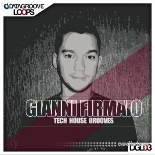 Datagroove Loops Gianni Firmaio Tech House Groove