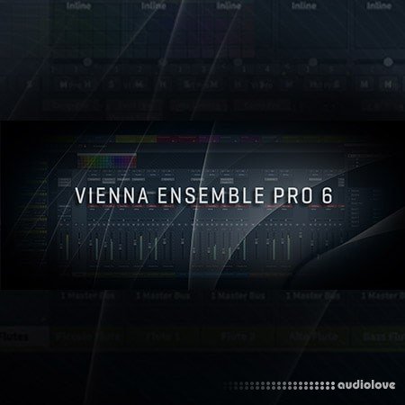 VSL Vienna Ensemble Pro 6
