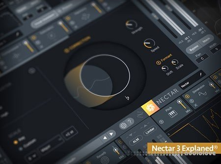 Groove3 iZotope Nectar 3 Explained