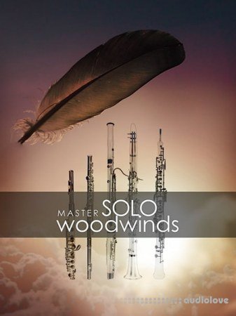 Auddict Master Solo Woodwinds Bundle