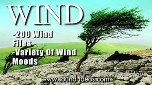 Sound Ideas Wind