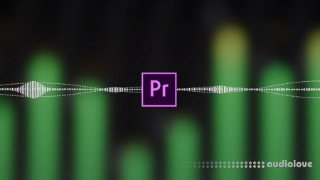 Udemy The Complete Audio Guide for Video Editors