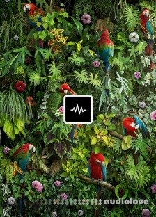 WavSupply TouchOfTrent Jungle (Sample Pack)