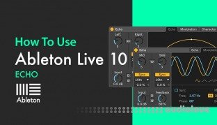 Sonic Academy How To Use Ableton Live 10 Echo with Bluffmunkey