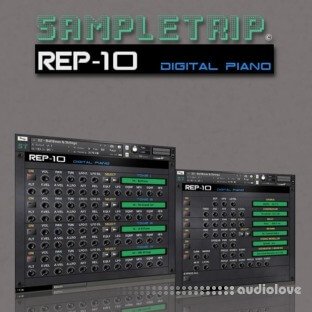 Sampletrip REP-10