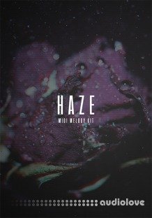 The Kit Plug Haze (MIDI Melody Kit)