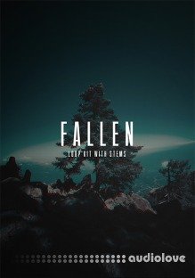 The Kit Plug Fallen (Loop Kit With Stems)