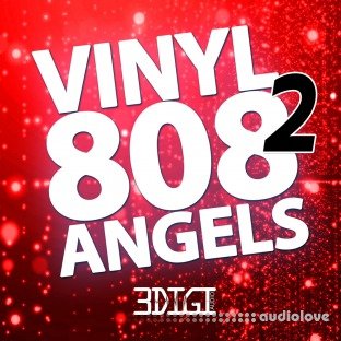 Big Citi Loops Vinyl 808 Angels 2