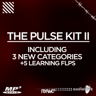 The Pulse Kit 2