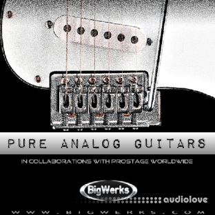 BigWerks Pure Analog Guitars