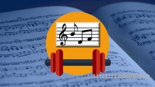 Udemy The Note Reading Bootcamp Read Music Fast