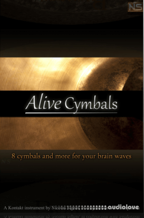 Sampleism Nicolas Signat Alive Cymbals