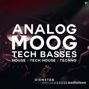 Dienstag Analog Moog Tech Basses 1