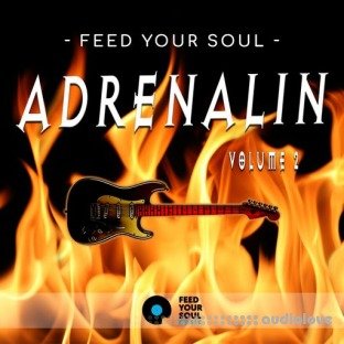 Feed Your Soul Music Feed Your Soul Adrenalin Volume 2