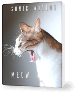 Sonic Worlds Meow (incl. Cat sound pack)