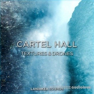 Laniakea Sounds Cartel Hall Textures And Drones