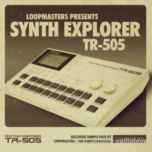 Loopmasters Synth Explorer TR505