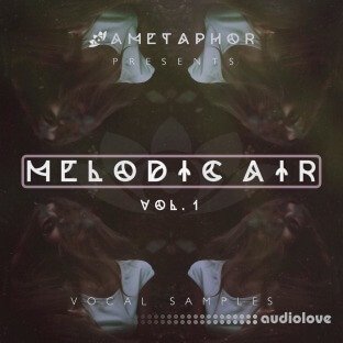 Ametaphor Melodic Air Vol.1