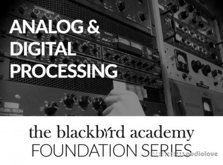 The Blackbird Academy Analog and Digital Processing