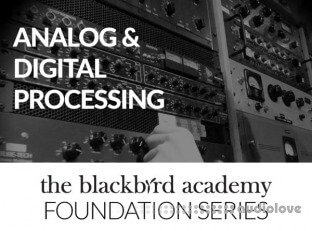The Blackbird Academy Analog and Digital Processing