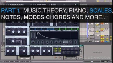 ADSR Sounds Music Theory for Electronic Music Producers