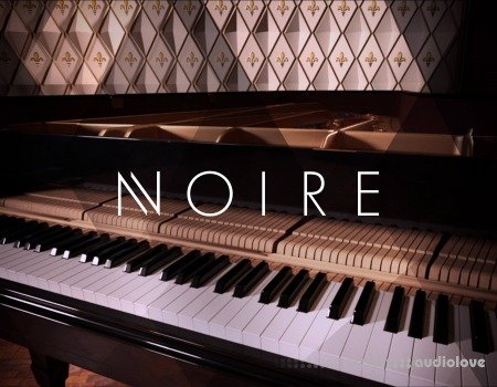 Native Instruments Noire v1.2.0 KONTAKT