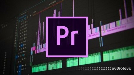 Udemy The Complete Adobe Premiere Pro Masterclass