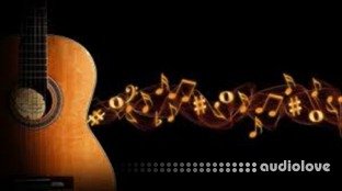 Udemy Practical Music Theory 101 For Guitar