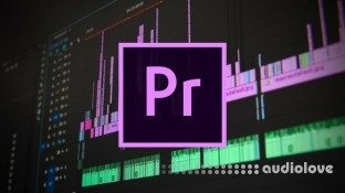 Udemy The Complete Adobe Premiere Pro Masterclass