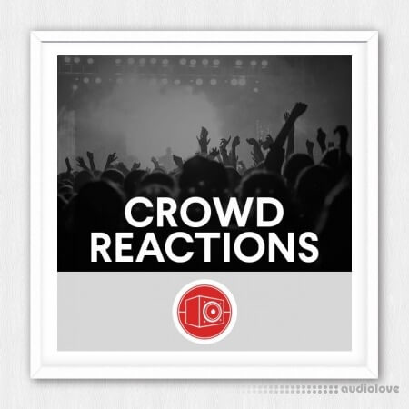 Big Room Sound Crowd Reactions