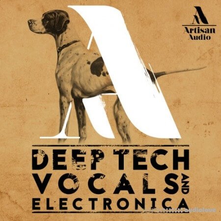 Artisan Audio Deep Tech Vocals and Electronica