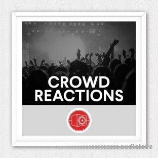 Big Room Sound Crowd Reactions