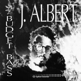 Splice Sounds J Albert Budget Bass