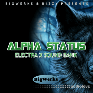 BigWerks Alpha Status