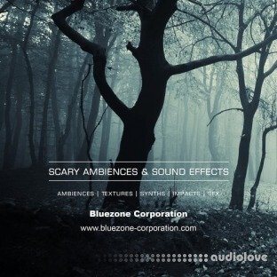 Bluezone Corporation Scary Ambiences and Sound Effects