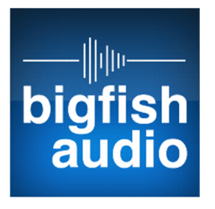 Big Fish Audio Electro Pop