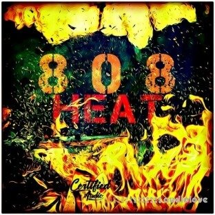 Certified Audio LLC 808 Heat