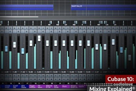 Groove3 Cubase 10 Editing Audio Explained