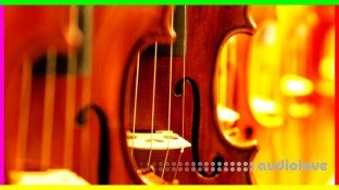 Udemy Violin Beginner to Advanced Vibrato VIBRATO MASTER COURSE