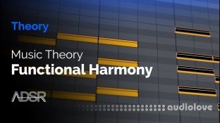 ADSR Sounds Music Theory and Functional Harmony