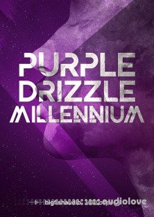 Big Fish Audio Purple Drizzle: Millennium